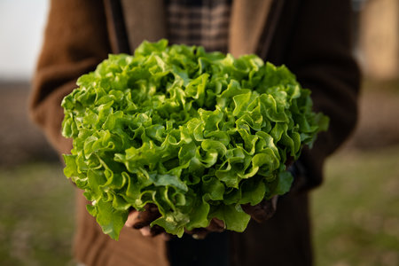 Close-up of a woman holding a fresh lettuce in her hands