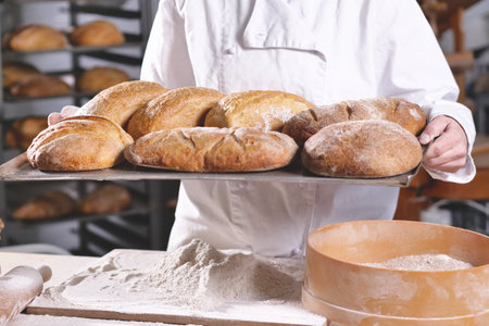 Baker holding tray with freshly baked bread in bakery, closeup