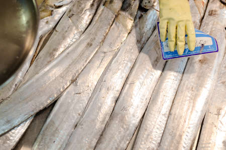 Picture of long silver ribbonfish on market display. Hand in yellow glove with pricetag on...