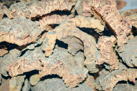 Picture of old tree cork. Textured background with many pieces of weathered oak cork in shades of brown.の写真素材