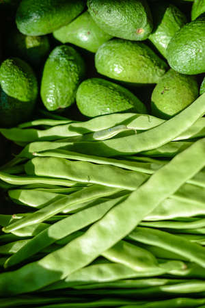 Closeup seamless photo of fresh whole avocados above fresh green runner bean rowsの写真素材