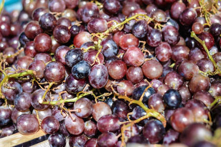 Closeup photo of wooden crate with freshly harvested juicy red grape vinesの写真素材