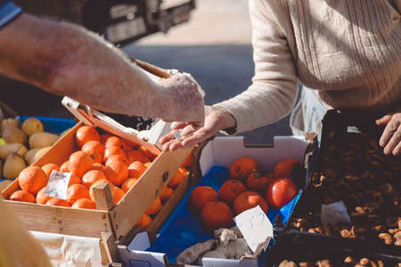 Picture of marketplace with different fruits. Buyer's and seller's hands on colorful background outdoorsの写真素材