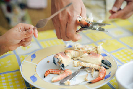 Closeup on crab and hands with utensils on the table background. Exotic dish side viewの写真素材