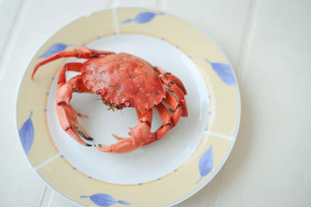 Top view of red tasty boiled crab on plate background, delicious seafood, closeupの写真素材