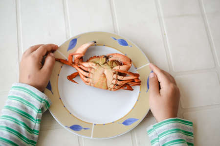 Top view picture of hands and red cooked crab on plate white table background. Exotic vacation foodの写真素材