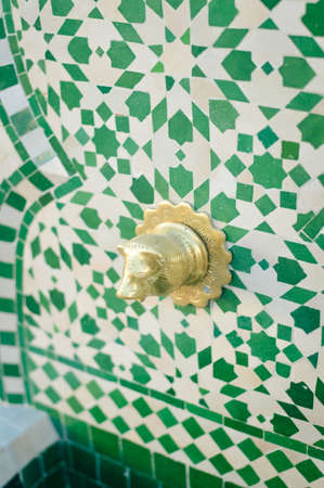 Closeup picture of lion head waterfall decorating on the wall outsideの写真素材