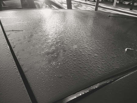 Blurry abstract closeup water drops background. Natural condensing surfaceの写真素材