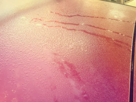Blurry abstract closeup water drops background. Natural condensing surface