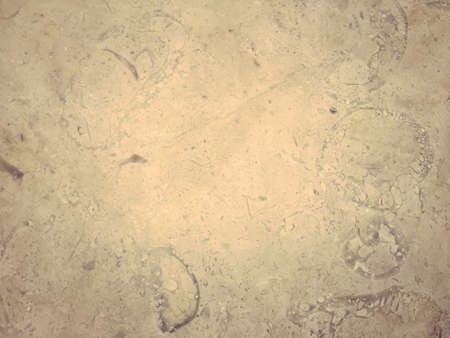 Natural stone surface texture backgroundの写真素材