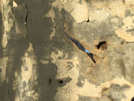 Vintage grungy background of galvanized rusty metal wall texture surfaceの写真素材