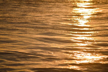 Bokeh of bright golden solar flare reflections for background