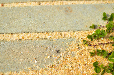 Close up on sandy concrete stairs copy space outdoor backgroundの写真素材