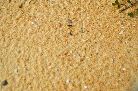 Closeup view of sand stone textuared abstract backgroundの写真素材
