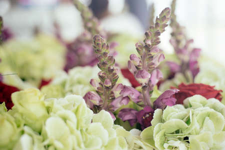 Beautiful fresh colorful flowers natural close up background. Luxury floral bright decorative composition, macro imageの写真素材
