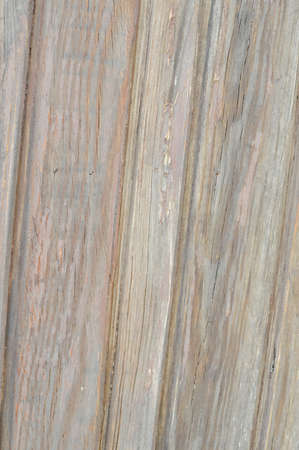 Close up of old wood planks abstract textured backgroundの写真素材