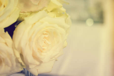 Bright close up of natural beautiful roses in light color style on blur bokeh textured background. Special event festive detail, sweet purity abstractionの写真素材