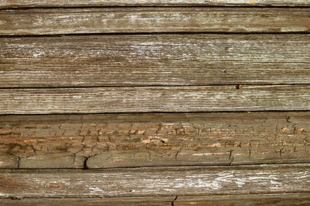Close up on natural eco wood textured grungy abstract background