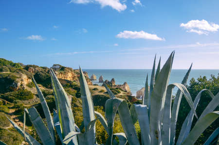 Sunny day, ocean cliffs, sand beach panorama view seascape outdoor inspiring pleasure backgroundの写真素材