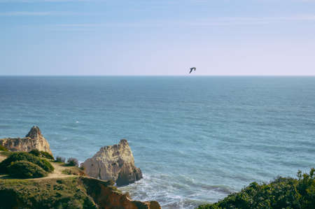Sunny day, ocean cliffs, sand beach panorama view seascape outdoor inspiring pleasure backgroundの写真素材