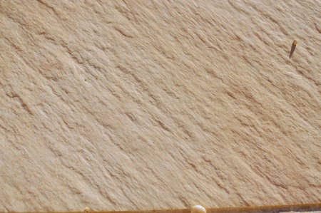 Closeup on ceramic tile with snails detailed surface rough marbled decoration textured backgroundの写真素材