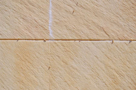 Closeup on ceramic tile with snails detailed surface rough marbled decoration textured backgroundの写真素材