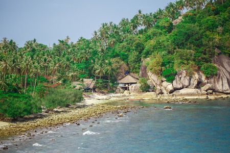 Rocky shore with green palms in Thailandの写真素材