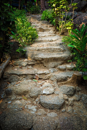 Stone stairs in the jungle in Thailand