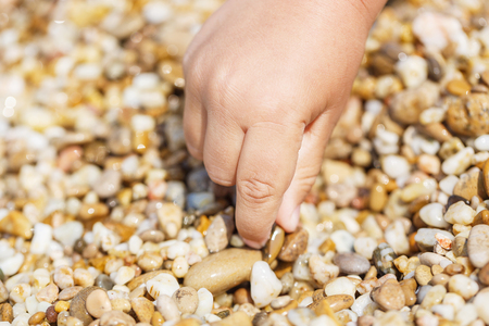Child hands collect pebblesの写真素材