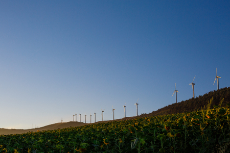 Spanish village landscape with windmillsの写真素材