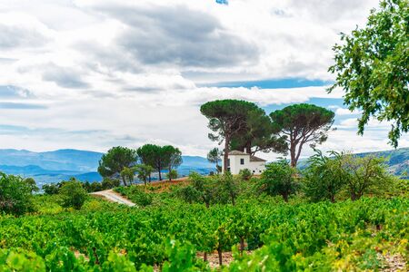 Landscape with green fieldの写真素材