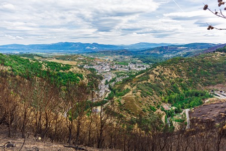 Burned forest in the mountainsの写真素材