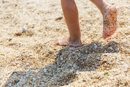 Little feet on the shoreの写真素材