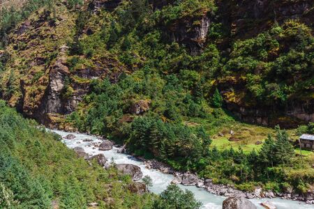 Pure mountain riverの写真素材