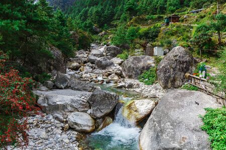 Pure mountain river
