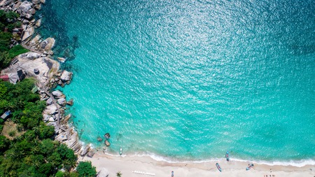 Sea and the beach