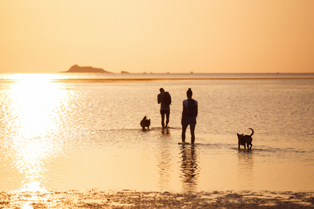 Couple with the dogの写真素材