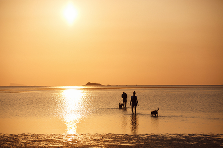 Couple with the dogの写真素材