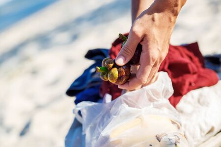 girl on the beach in Thailand holding a fruit mangosteenの写真素材