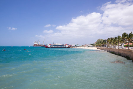 Sea view from the city. Beautiful beach with green palm trees of the city of Zanzibarの写真素材