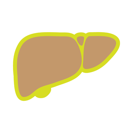 Icon of human liver in flat styleのイラスト素材