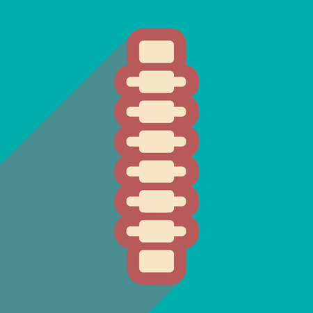 flat icon with long shadow, human spineのイラスト素材