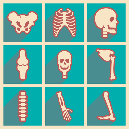 Set flat icons with long shadow, human skeletonのイラスト素材