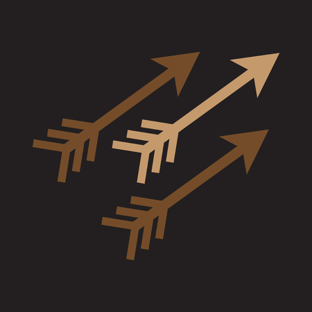 Modern flat icon with long shadow, Indian arrowsのイラスト素材