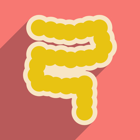Icon of human duodenum in flat styleのイラスト素材
