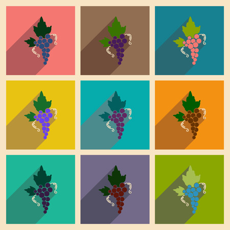 Set of flat web icons with long shadow bunch of grapesのイラスト素材