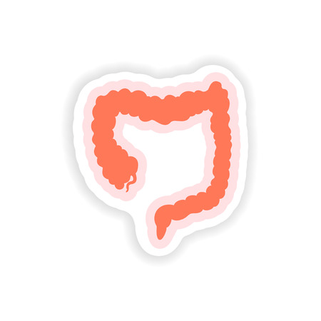 paper sticker on white background Duodenum humanのイラスト素材