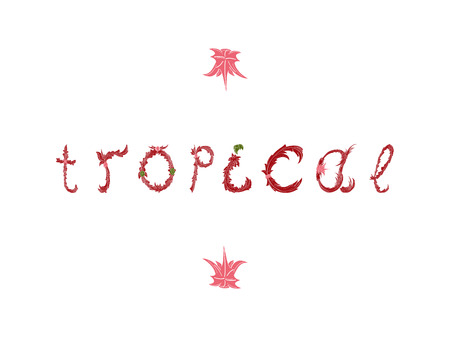 Red Tropical lettering on a white background.のイラスト素材