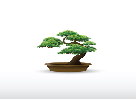 bonsai in the potのイラスト素材