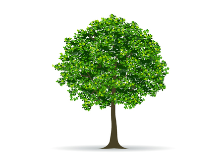 tree and leaf,tree branch,realistic tree,tree vectorのイラスト素材